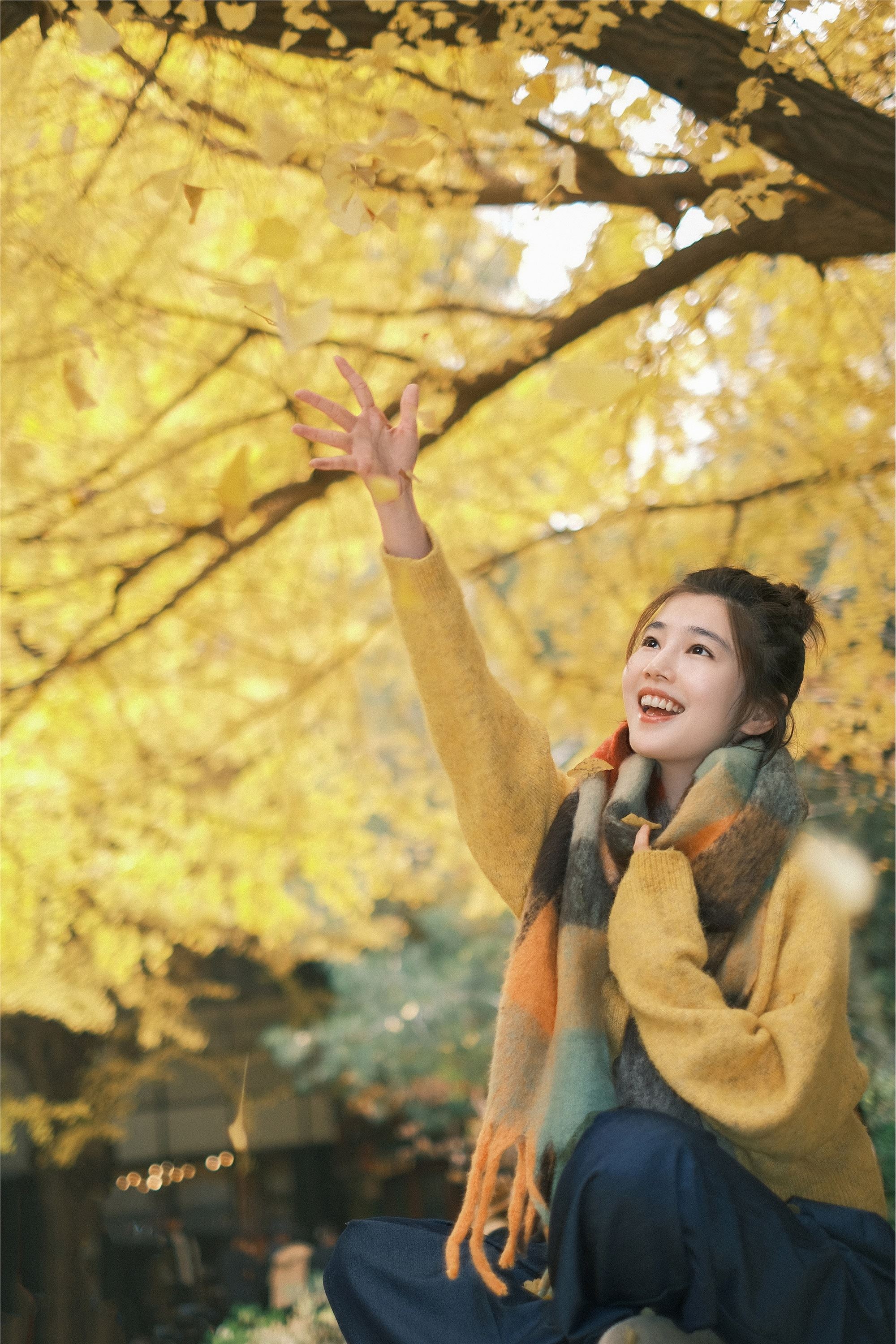 YITUYU艺图语 2025.01.26 窗边秋色 凡凡